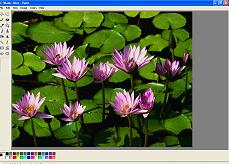 tutorial cara edit jasa website murah