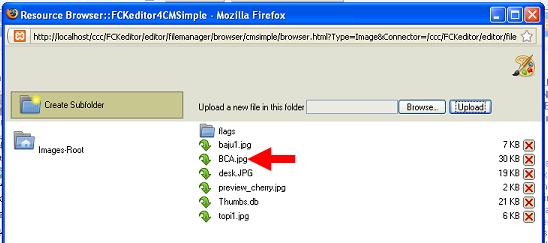 tutorial cara edit jasa website murah