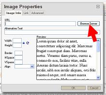 tutorial cara edit jasa website murah